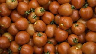 Помидоры в мультиварке на зиму