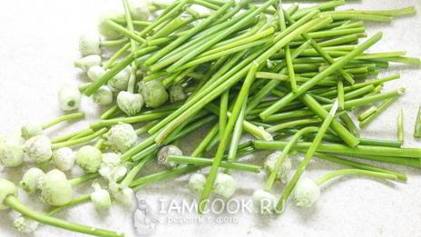 приправа из чесночных стрелок на зиму