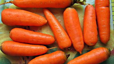 приправа из овощей