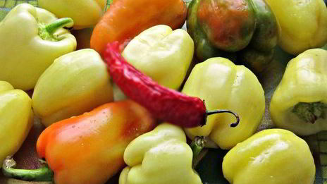 приправа из овощей