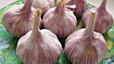 приправа из овощей