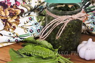 Щавель с солью на зиму