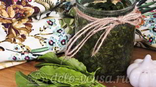 Щавель с солью на зиму