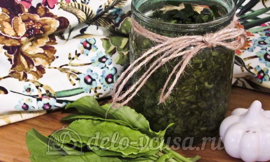 Рецепт щавеля с солью на зиму