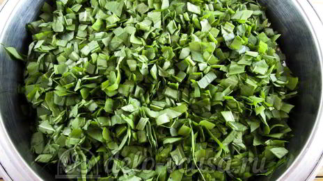 щавель с солью на зиму