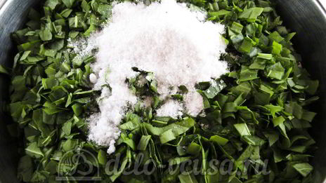 щавель с солью на зиму