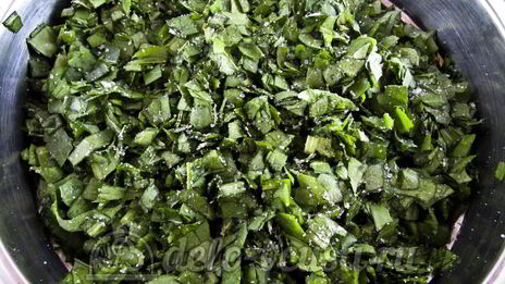 щавель с солью на зиму