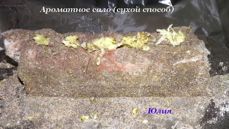 ароматное сало