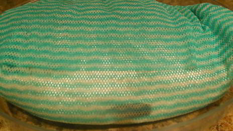 форель малосольная