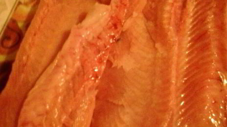 горбуша соленая