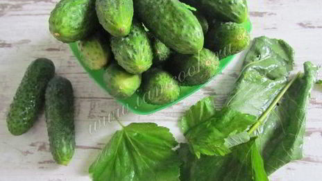 хрустящие малосольные огурцы