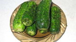 Малосольные огурцы без рассола