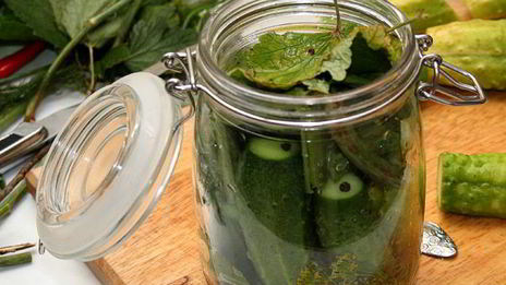 малосольные огурцы холодного засола