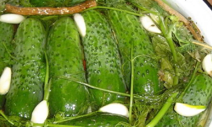 Рецепт малосольных огурцов с горчицей