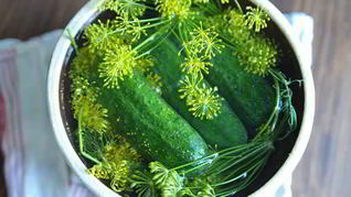 Малосольные огурцы с хреном