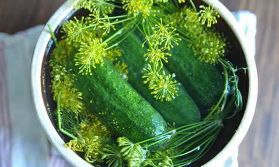 Рецепт малосольных огурцов с хреном