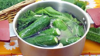 Малосольные огурцы с листьями ежевики