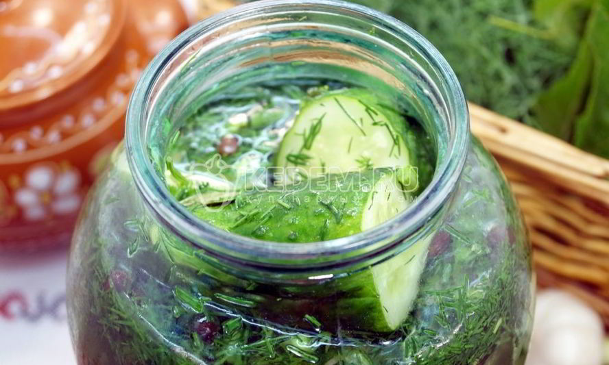 Рецепт малосольных огурцов в банке