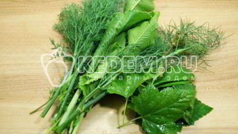 малосольные огурцы в банке