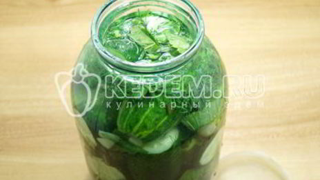 малосольные огурцы в банке