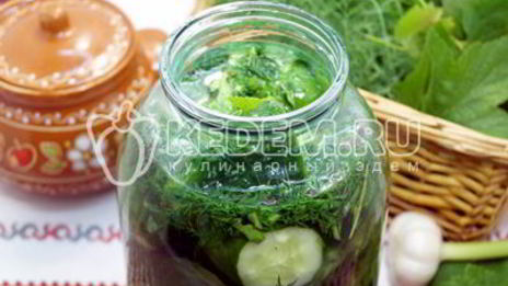малосольные огурцы в банке