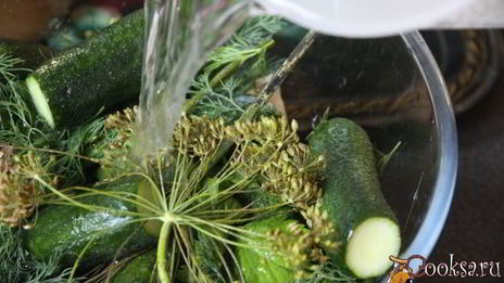 малосольные огурцы в минеральной воде на зиму