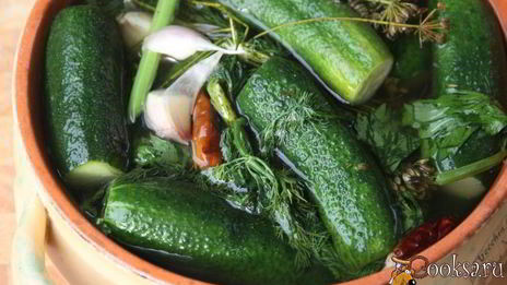малосольные огурцы в минеральной воде на зиму