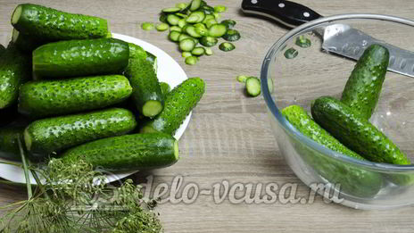 малосольные огурцы