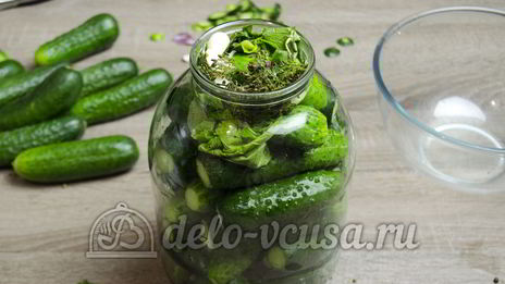 малосольные огурцы