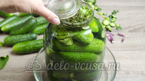малосольные огурцы
