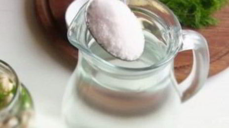 малосольные шампиньоны