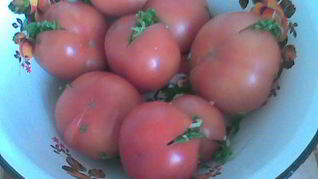 Соленые бурые помидоры