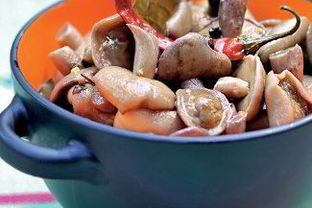 Соленые грибы