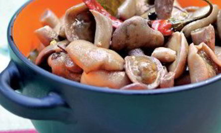 Рецепт соленых грибов