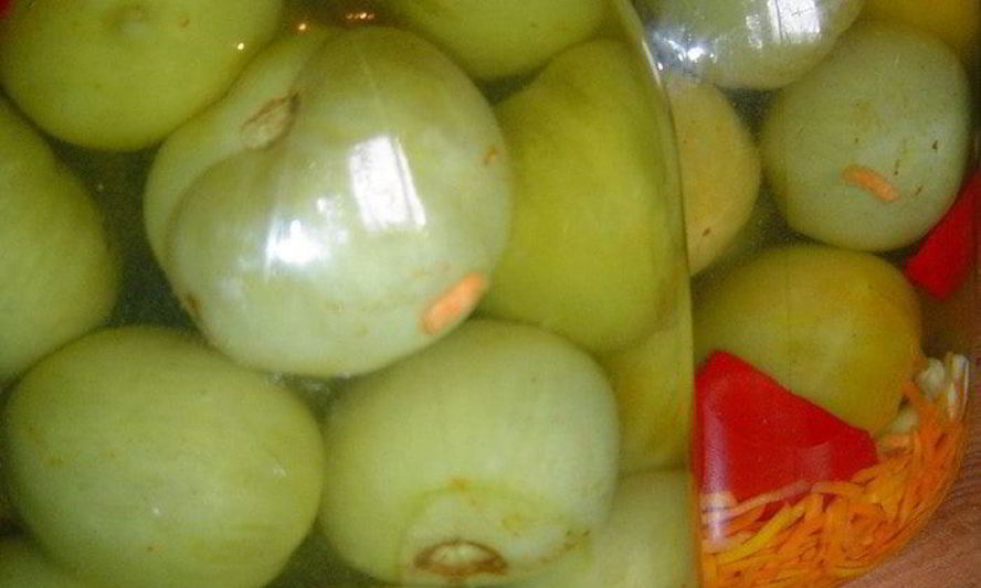 Рецепт зеленых помидоров