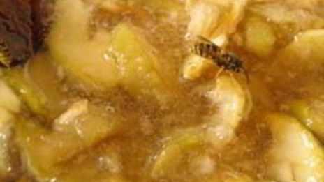 варенье из антоновки