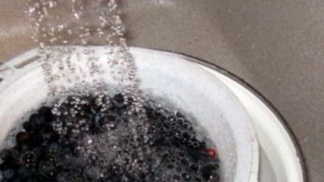 варенье из черники густое