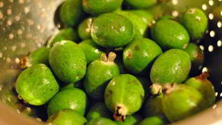 Варенье из фейхоа