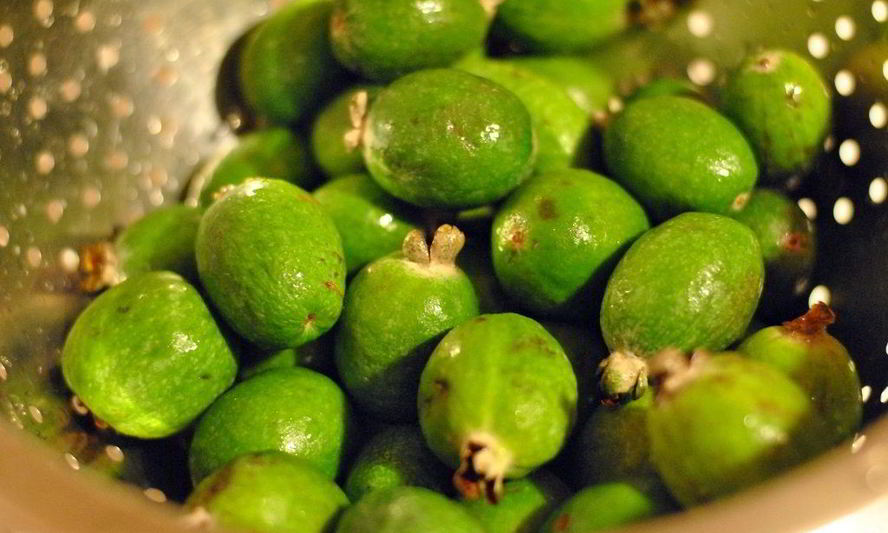 Рецепт варенья из фейхоа