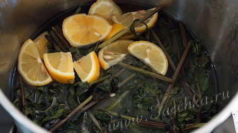 варенье из мяты