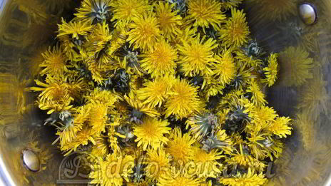 варенье из одуванчиков