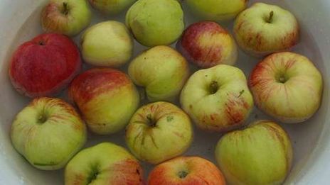 яблочный сок на зиму