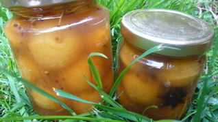 Яблоки, моченые на зиму