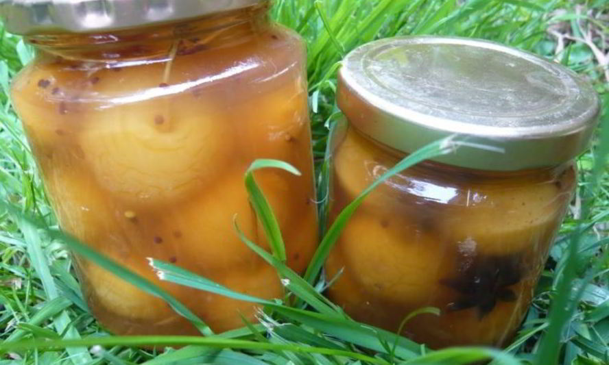 Рецепт яблок, моченых на зиму