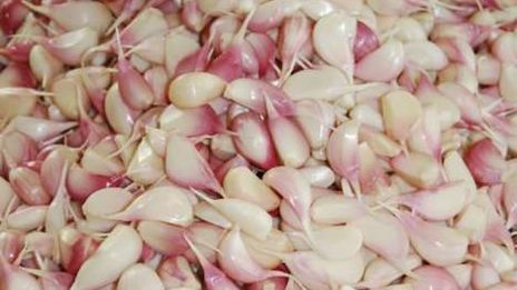 заготовка чеснока на зиму