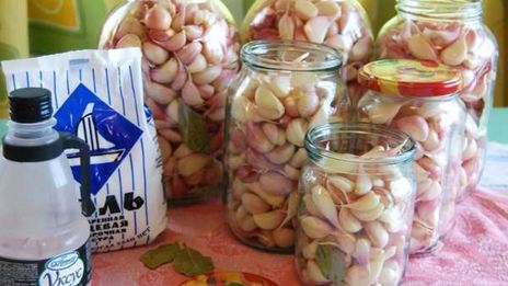 заготовка чеснока на зиму