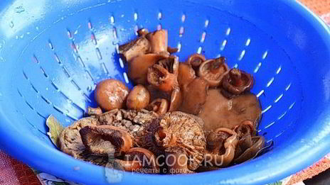 заморозка рыжиков на зиму