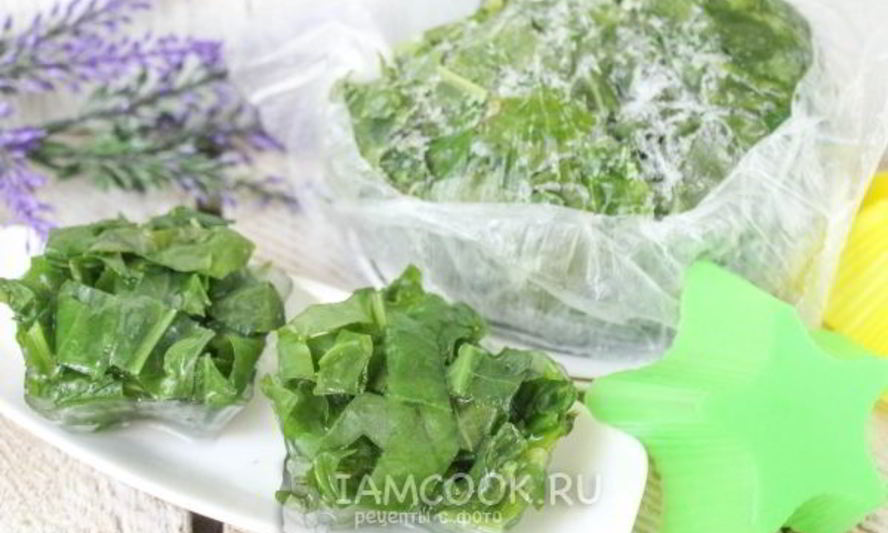 Рецепт заморозки щавеля на зиму