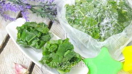 заморозка щавеля на зиму