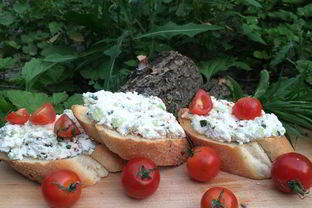 Брускетта с рикоттой и паприкой